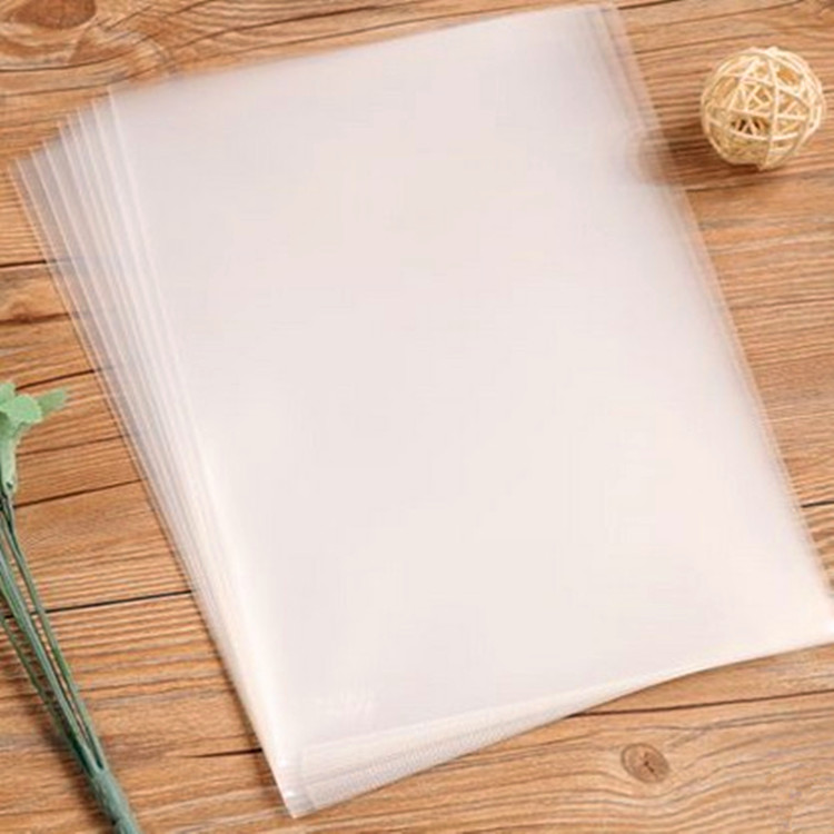 Haubirly single sheet clip L type folder A4 Two-page file sleeve single sheet clip transparent single sheet clip E310