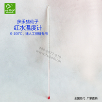 Red water thermometer 100℃ pet animal water temperature test