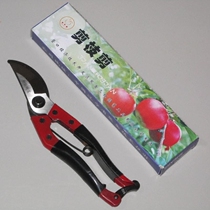 Pruning shears gardening tools pruning tree scissors pruning shears pruning shears flower scissors cutting scissors