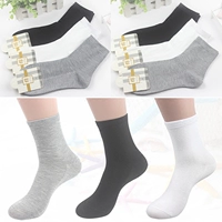 10 đôi vớ nam trong vớ cotton dày khử mùi thấm hút mồ hôi quan tat nu gia tot