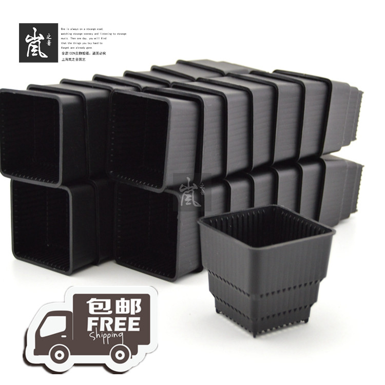Package -- 6cm Meyaki control root flower pot (30) Multi meat control root planting nursery basin