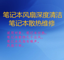 芜湖笔记本电脑清灰除尘 换风扇 装系统 换屏幕 上门维修