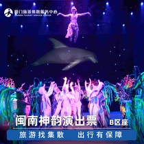 Southern Fujian Shen Yun-Area B Standard Area]Southern Fujian Shen Yun performance tickets Southern Fujian Cultural Performance