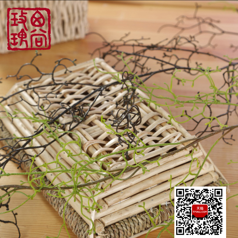 ����õ����滨��Ұɽ֦����װ��