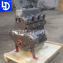 Black Panther Foton Yuling car engine Laidong 380 480 485 4L22CR 4L18E light machine bald head