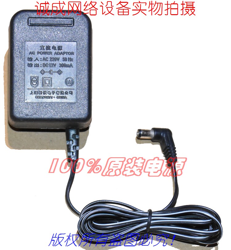 Original clothing Shanghai's new technology DC12V300MA DC power supply adapter AC POWER ADAPTOR