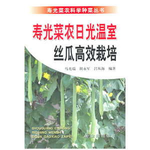 寿光菜农日光温室丝瓜高效栽培
