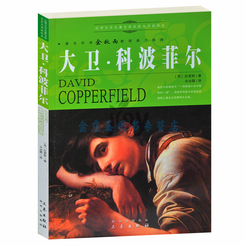 天猫正版】大卫·科波菲尔/余秋雨推荐世界文学名著外国小说中小学生课外书籍文学世界名著青少版书 包邮
