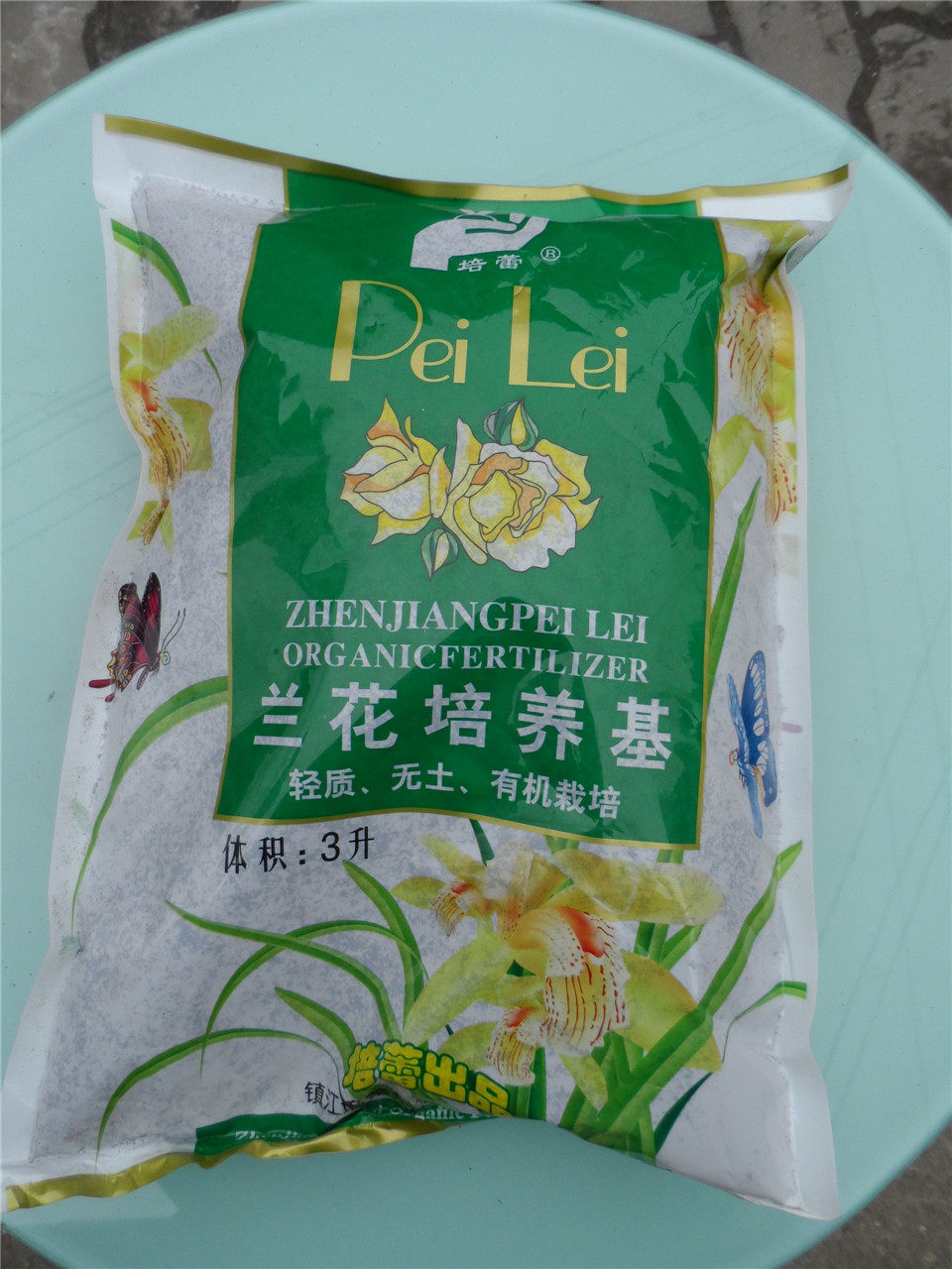 Orange plant generic cultivation of soil matrix bud household flower pot multi-meat seedlings and breathless