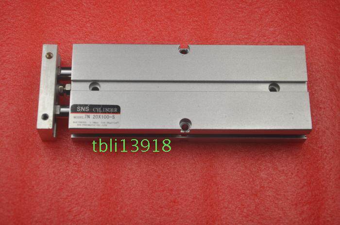 Original SNS TN20X100-S cylinder