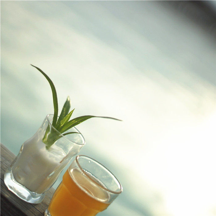 Liquid Soap Laundry Detergent no Fluorescent Residue no Aroma Pure Edible Coconut Oil Production