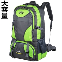 Fashion new large capacity 60 liter shoulder bag outdoor travel bag mens and Womens Big backpack waterproof mountaineering bag travel bag