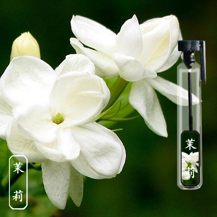 【偶遇】私家调制/茉莉花味纯植物单花香精油香水 小样试香 中性