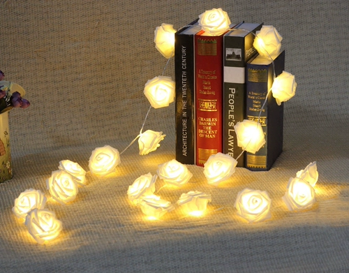 Реквизит для фотографии, реалистичный креативный фонарь, розы, в цветочек