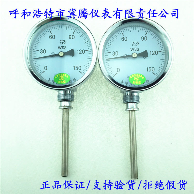 Bimetal Thermometer WSS-481 Stainless Steel Industrial Thermometer Boiler Disc Thermometer Radial Customized