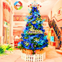 300CM Encrypted Blue Trim Christmas Tree 3 m Christmas Tree Package Christmas Decorations Large Christmas Tree