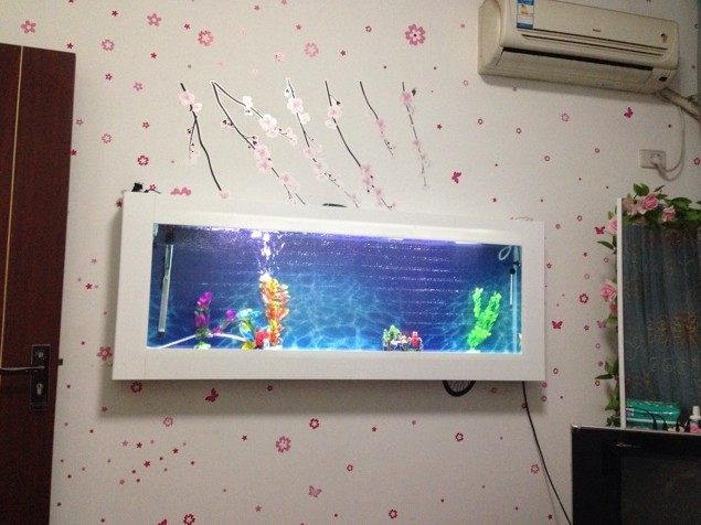 Factory sales ecological wall mounted aquarium acrylic glass cylinder glass wall - wall fish cylinder ecological tank