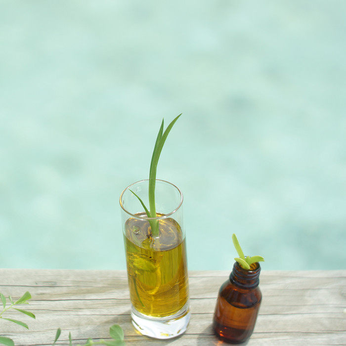 Greedy camellia private hair oil hair tail oil sofa dry hot dyed brittle broken split ends recommended