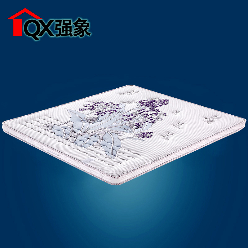 ǿ��3eҬ��ά����