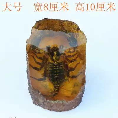 Natural synthetic artificial amber rough with insects, insect specimens, insects, real insects, artificial beeswax ornaments