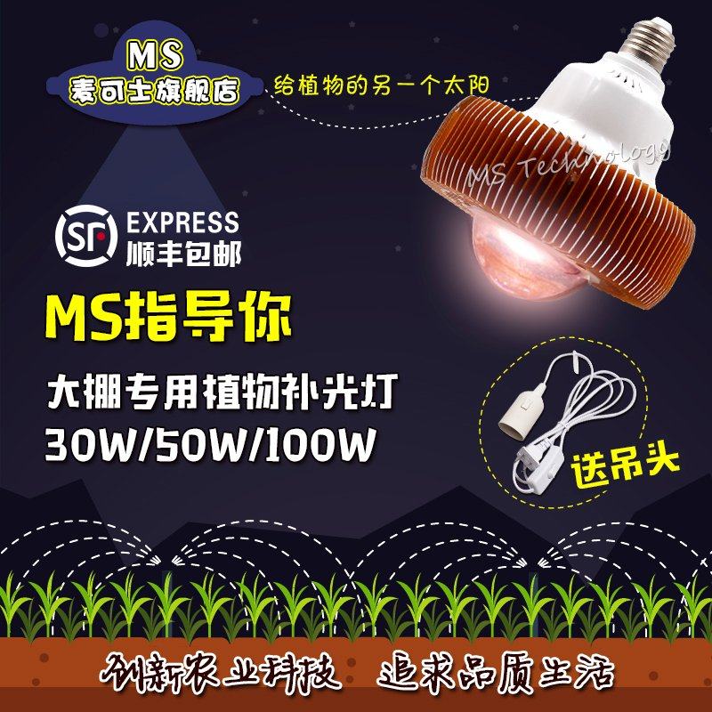 ms���ʿȫ����ledֲ��������MS-Par