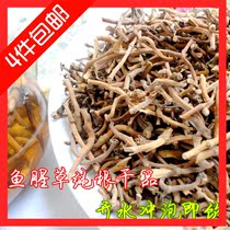 Hunan Wild Houttuynia Cordata Tea Dried Auricularia Pleurotus Root Dried Houttuynia Cordata Soaked in Water 200g