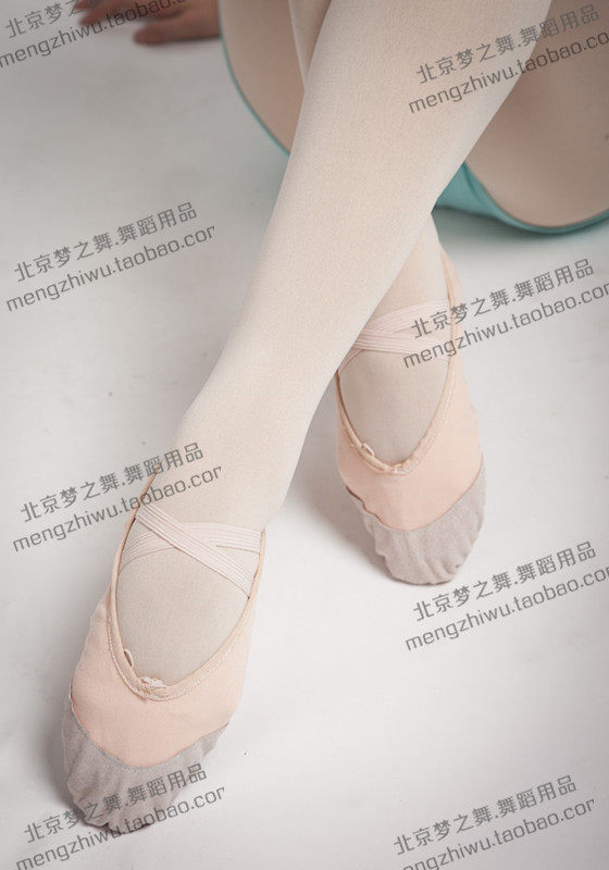 Gold Medal Seller Dreams Dance Professional Dance Shoes Practice Shoes Cat Paw Shoes Soft Bottom Shoes Yoga Shoe Shape