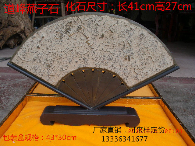 Swallow stone Trilobite fossil sightseeing stone Qishi paleontology collection Decorative craft gift fan ornaments