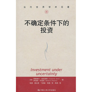 不确定条件下的投资（当代世界学术名著）