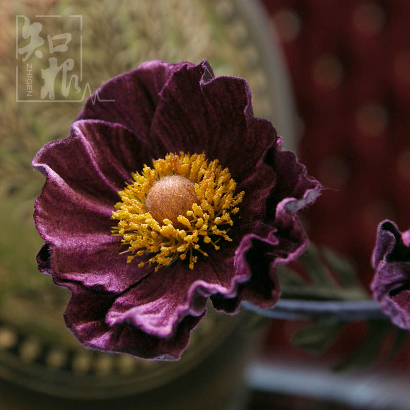 ֪��ŷʽ���滨YS-008