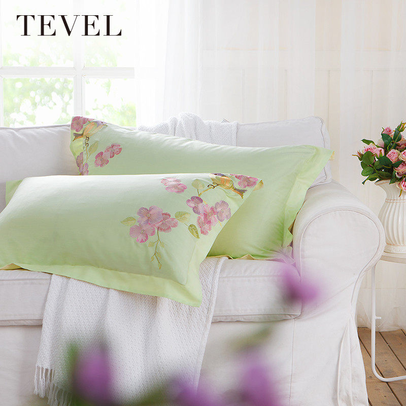 tevel/�ûʼҷ�ȫ�޴�������62010315096