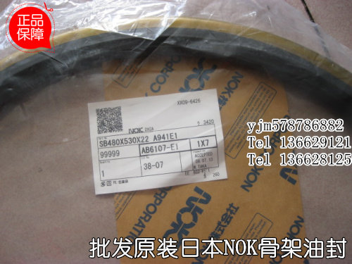 Original Japanese NOK skeleton oil seal AB6107E single lip skeleton oil seal SB480*530*22