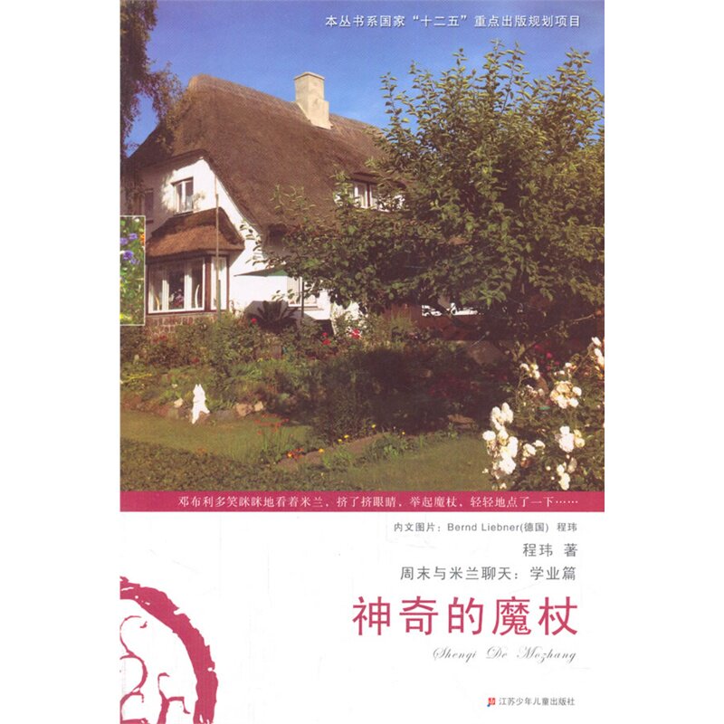 神奇的魔杖 正版图书 程玮