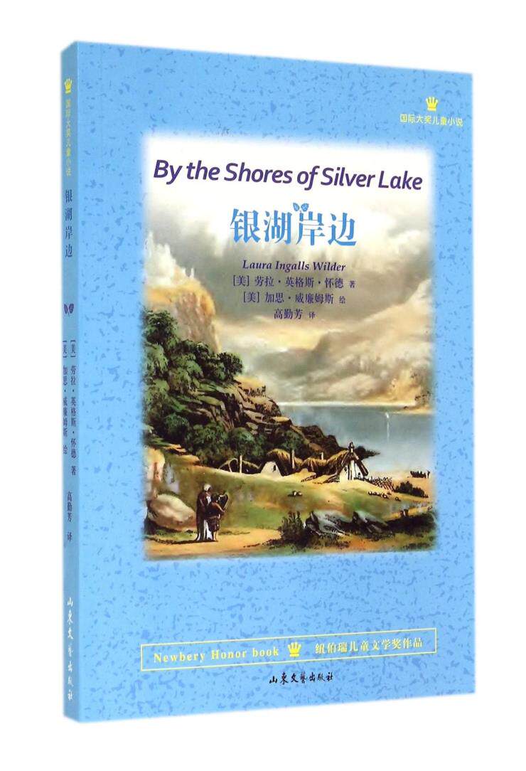 正版包邮银湖岸边(国际大奖儿童小说)正品图书书籍