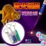 Laser vui mèo bút mèo đồ chơi mèo điện tử vui cat dog cat dog laser dễ thương đồ chơi mèo claw pet tương tác đồ dùng cho mèo