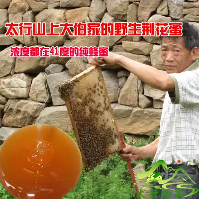 Taihang Deep Mountain Farmers Self-produced Natural Jinghua Honey 500g Wild Thorn Honey
