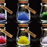 Желание стеклянная бутылка DIY Ручная рост роста детской кристаллы.