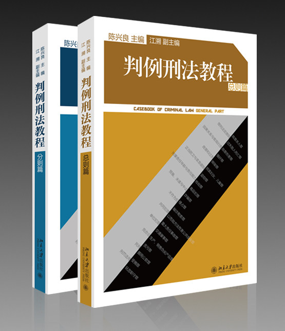 判例刑法教程 陈兴良 选择代表性判例，提炼核心问题，进行精炼评论 法科学生学习刑法总则的参考书