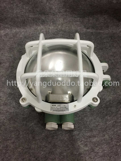 Marine lighting lamps W operating lights 792066 60W Ships dedicated indoor refrigerated storage lamp 220V Quality direct marketing