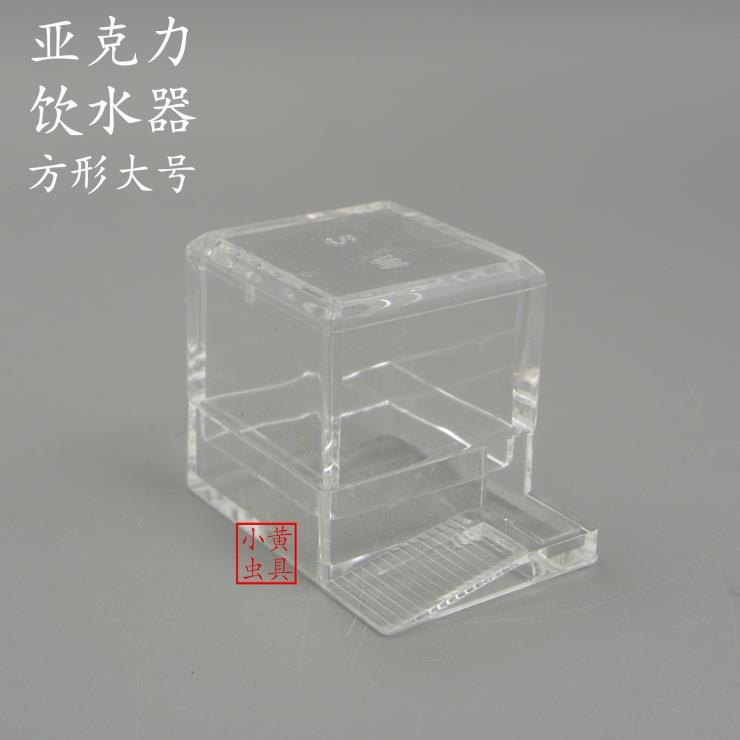 Acrylic drinking fountain Plastic drinking fountain Songworm cricket feeding water bowl Water feeder Water bowl