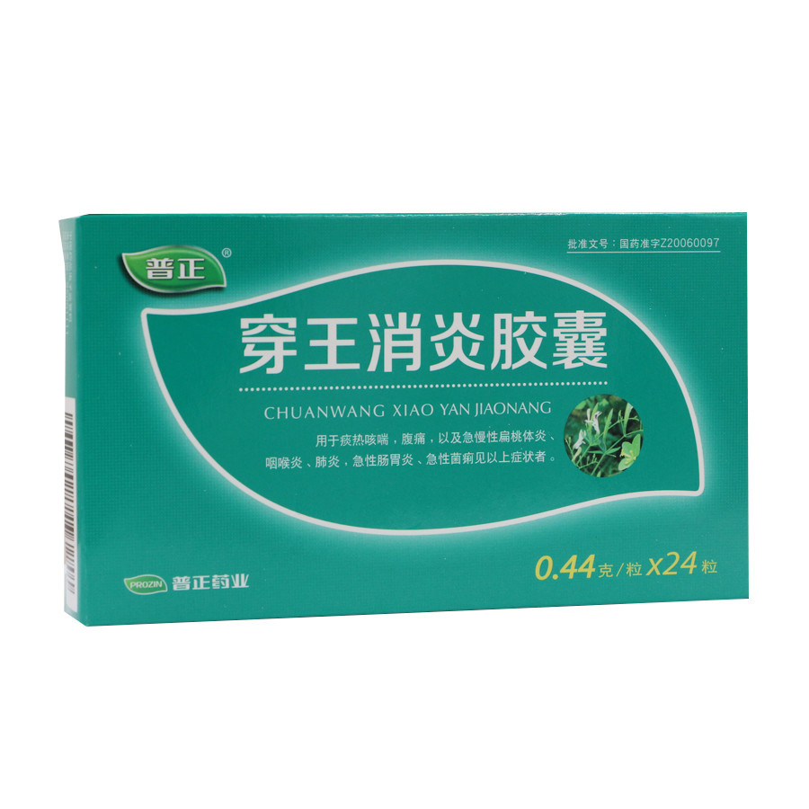 普正 穿王消炎胶囊 0.44g*24粒/盒