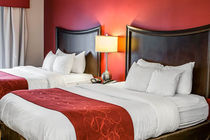 Holiday Inn INDIANAPOLIS DOWNTOWN