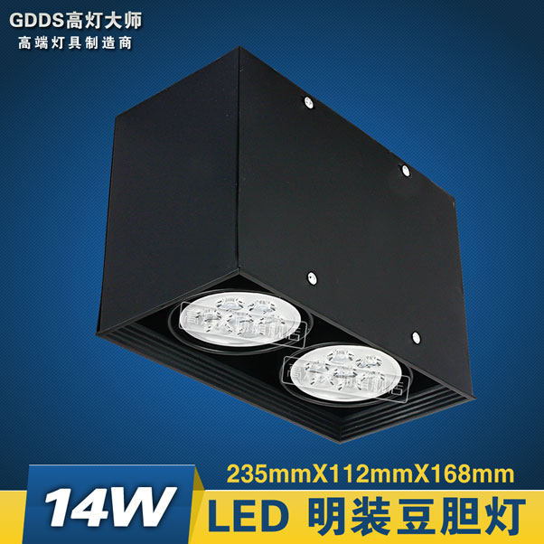 High LED surface-mounted double-headed bold lamp 24w ceiling-mounted double-headed bean gall lamp spotlight downlight highlight energy saving without opening