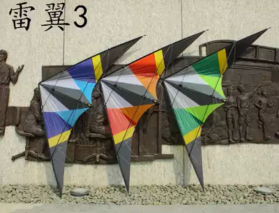 Hong Kong Junlong two-line stunt kite Thunder wing 3 2015 new sports kite
