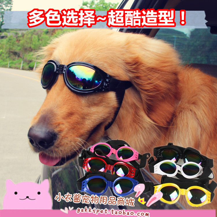 Middle Large Dog Puppy Glasses Strange Decorations Golden Hair Sunglasses Sunglasses Haschiera Labrador's Moyer-Taobao