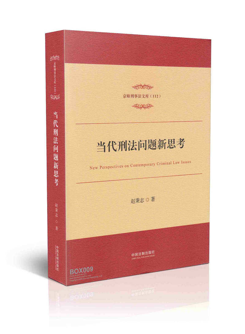 当代刑法问题新思考/京师刑事法文库112