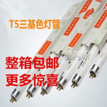 Foshan lighting T5 lamp tube three-base color fluorescent tube 8W14W21W28W promote whole box straight tube