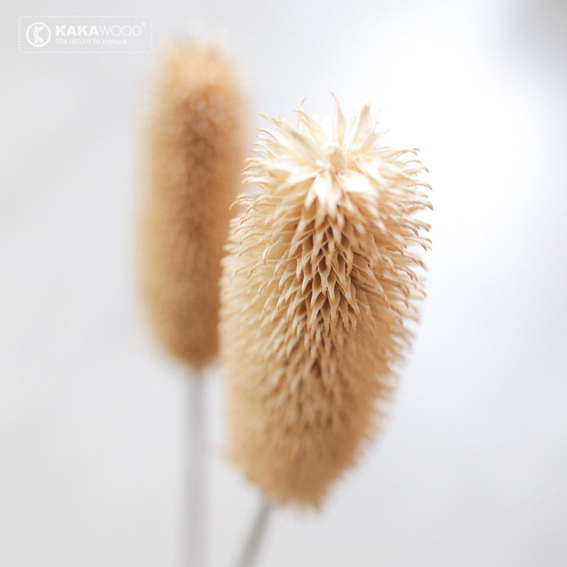 kakawood��̬��Ȼ�ɻ�����