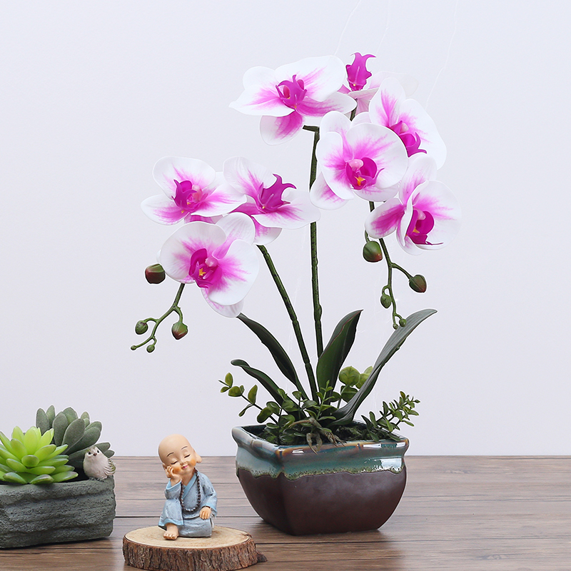 �����Լװ�β����ڼ�REC1B0