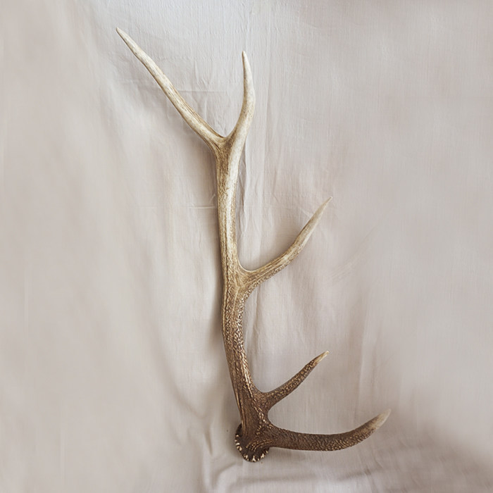 Northeast Deer Antlers Whole Branches Plum Blossom Deer Antlers Roe Deer Horn Raw Material Pure Medicinal Can Decorate 500 gr